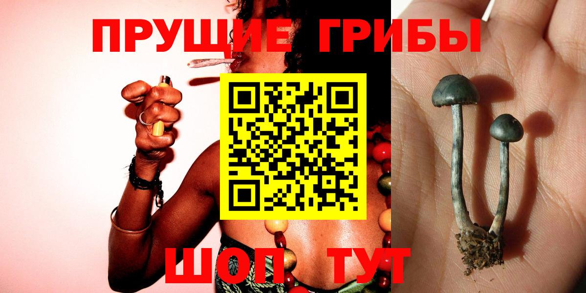 Псилоцибиновые грибы Psilocybe  Вход с VPN  цены наркотик  Кстово 